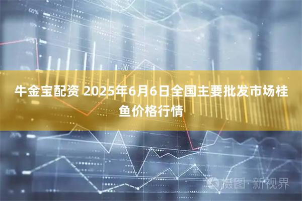 牛金宝配资 2025年6月6日全国主要批发市场桂鱼价格行情