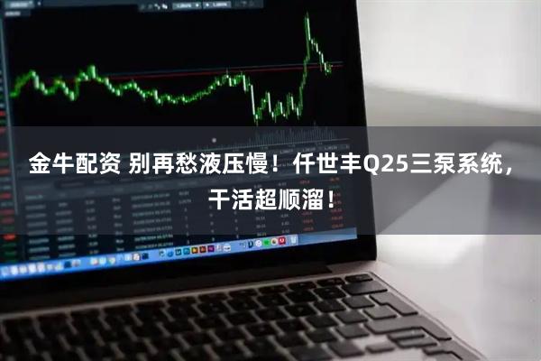 金牛配资 别再愁液压慢！仟世丰Q25三泵系统，干活超顺溜！