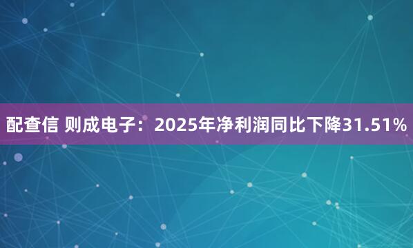 配查信 则成电子:2025年净利润同比下降31.51%