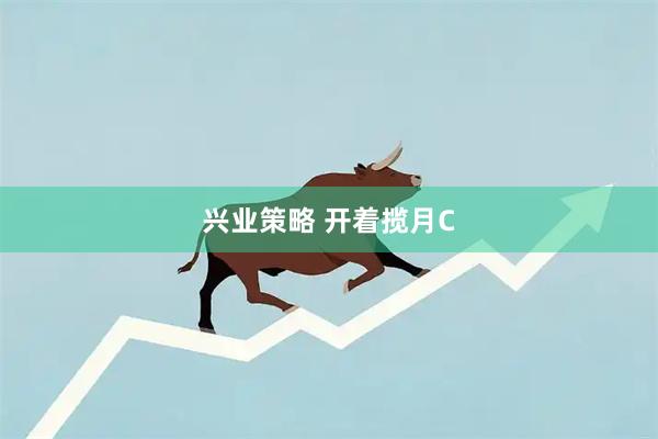 兴业策略 开着揽月C