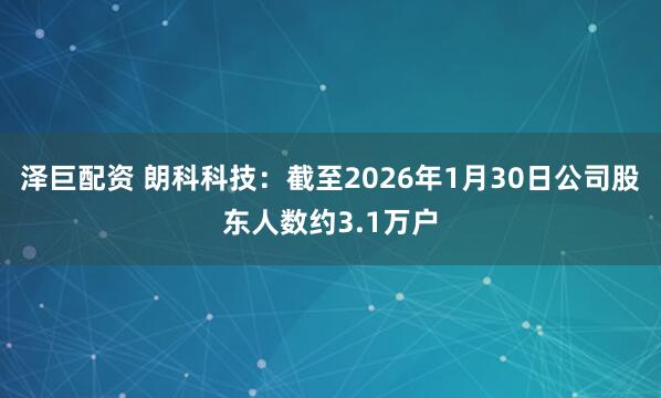泽巨配资 朗科科技：截至2026年1月30日公司股东人数约3.1万户